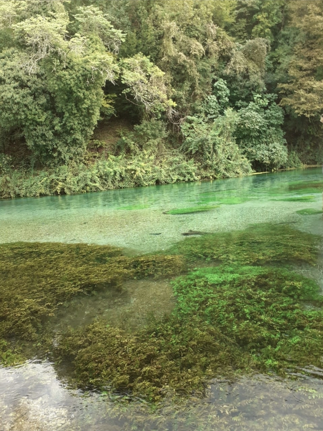 Blue Eye Spring Tour- pickup from Saranda & Ksamil